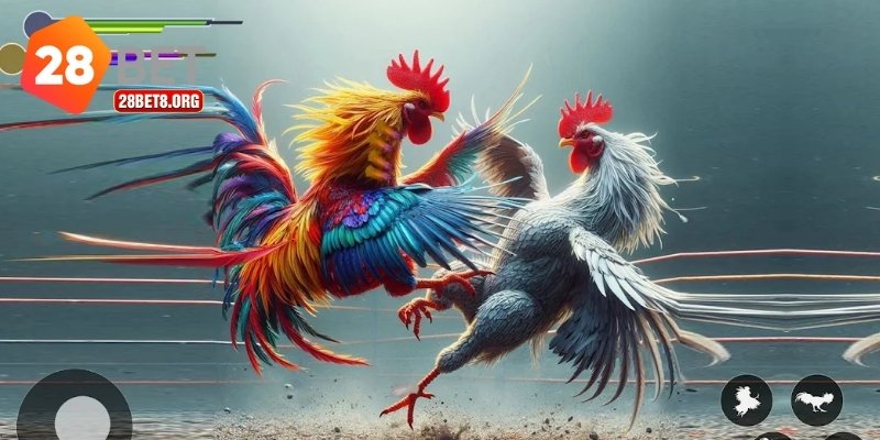 Đá Gà 28bet – Nơi Hội Tụ Của Đam Mê Và Kỹ Thuật Cá Cược