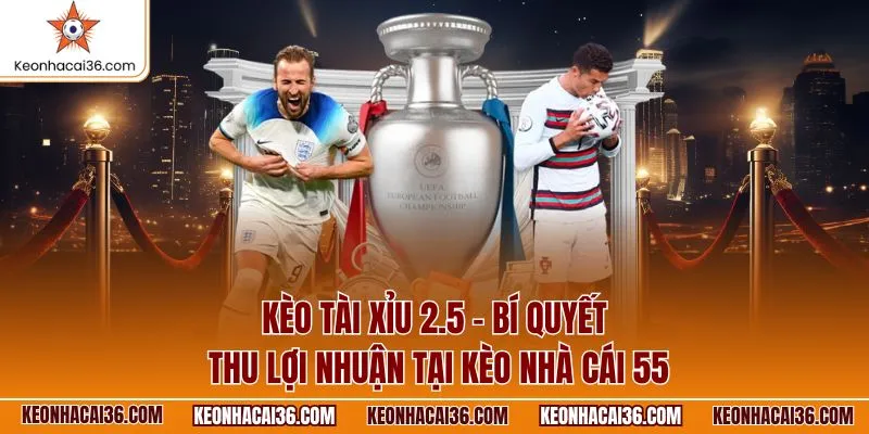 Kèo Tài Xỉu 2.5 – Bí Quyết Thu Lợi Nhuận Tại Kèo Nhà Cái 55